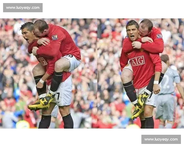 从参赛规模到历史影响全面解析世界杯与欧洲杯的核心区别深度对比